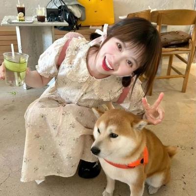 一件小事封面